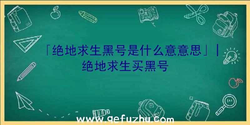 「绝地求生黑号是什么意意思」|绝地求生买黑号